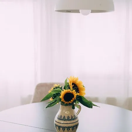 Hausboot Fuenf19 * Oestrich-Winkel