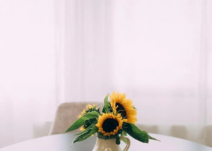 Hausboot Fuenf19 * Oestrich-Winkel