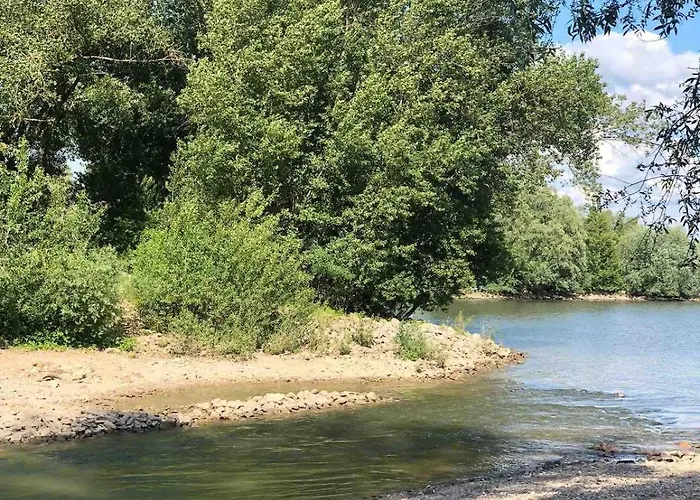 Hausboot Fuenf19 * Oestrich-Winkel