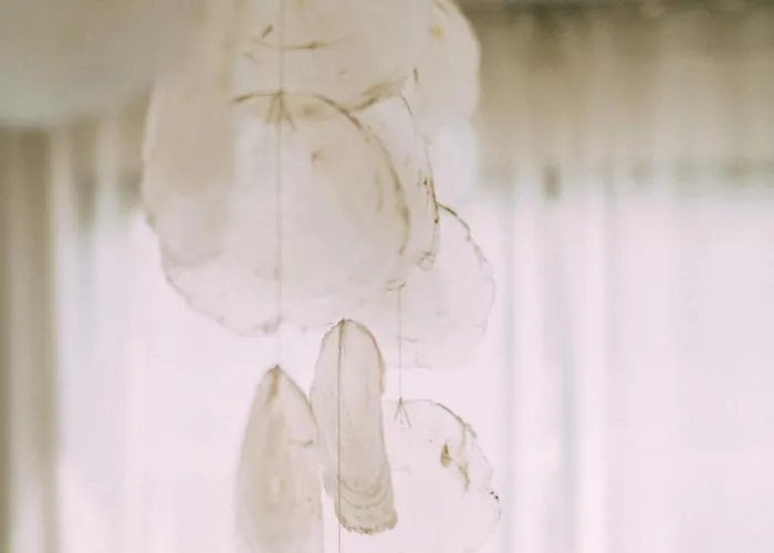 Daire Hausboot Fuenf19 *